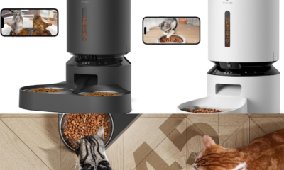 Best-automatic-cat-feeder